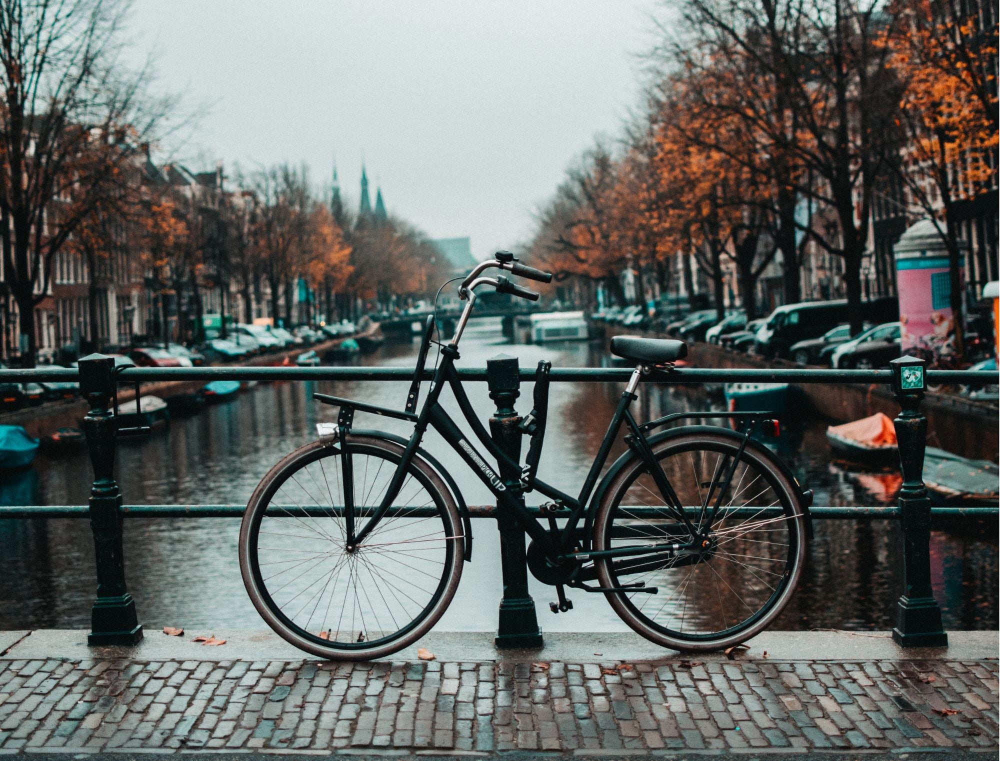 5 habitudes écolo à piquer aux autres pays