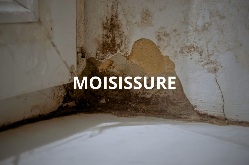 Comment éliminer la moisissure avec Les Petits Bidons