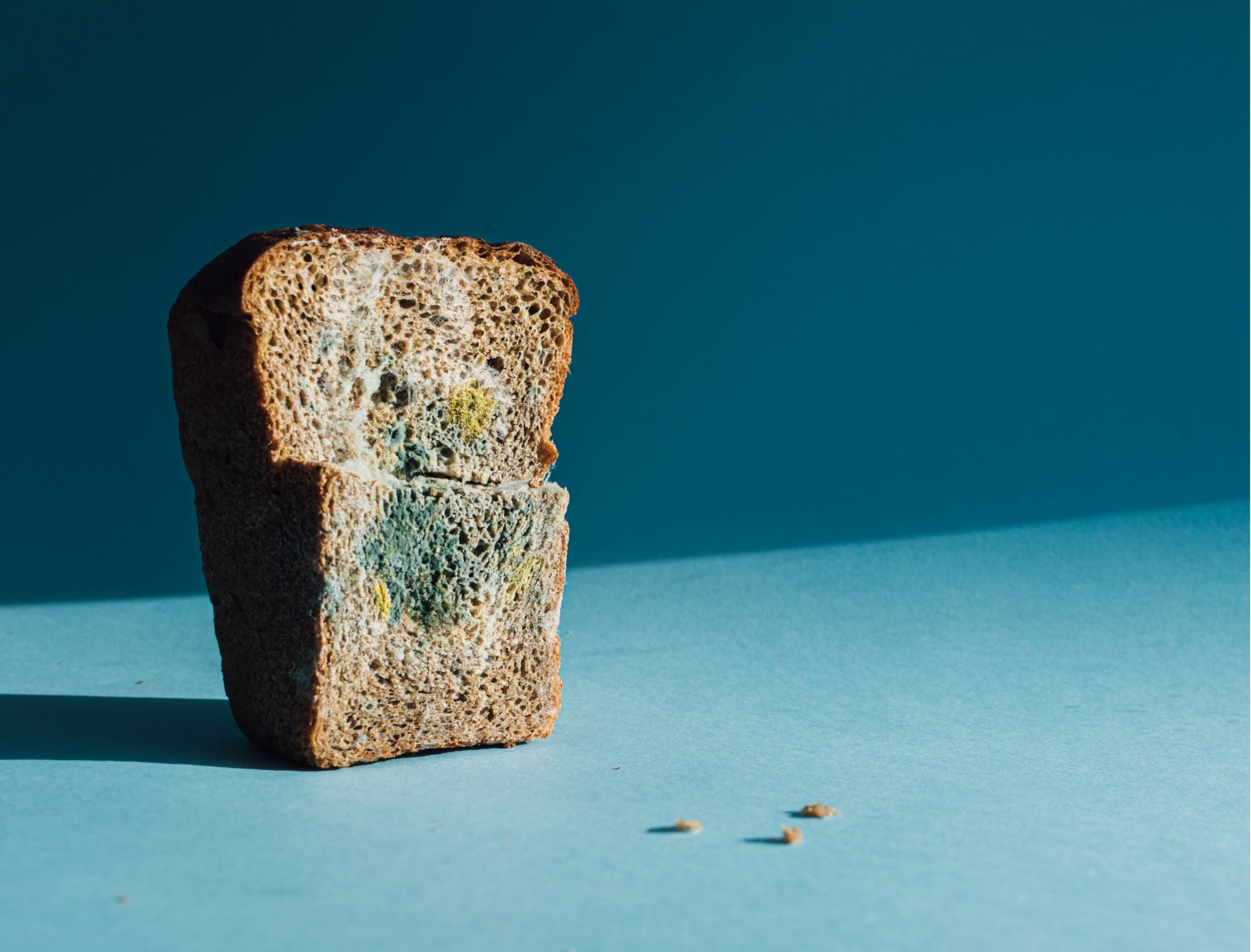 Gaspillage alimentaire : 7 idées reçues sur les dates de péremption