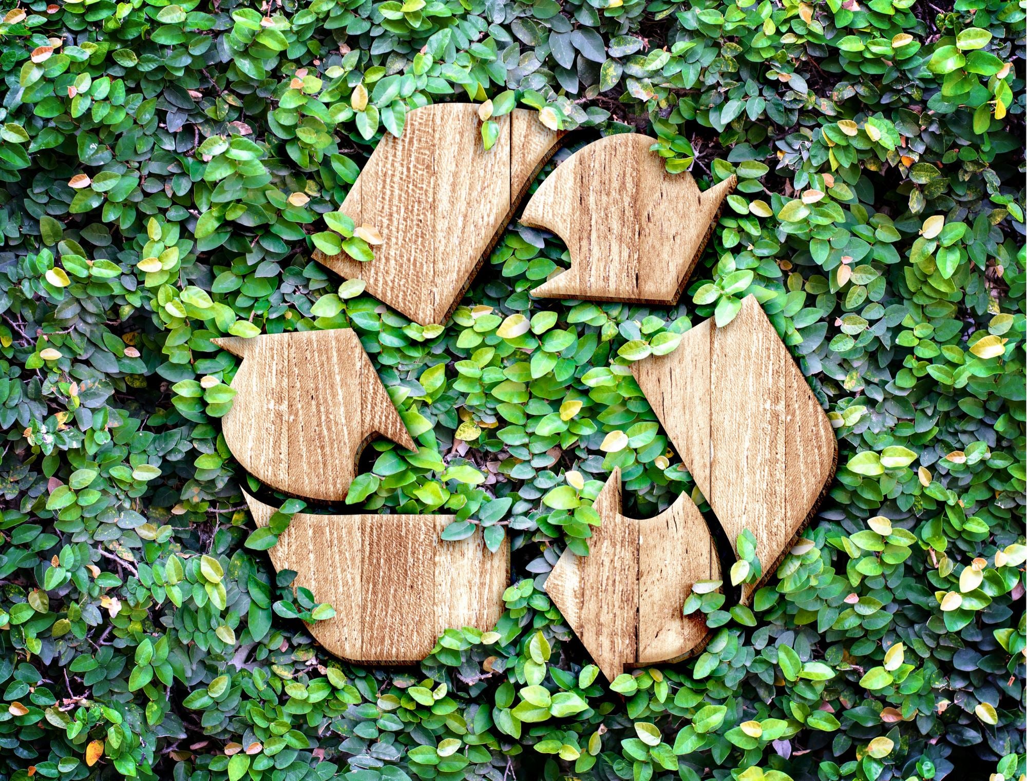 Tout savoir sur les labels de tri et de recyclage des emballages