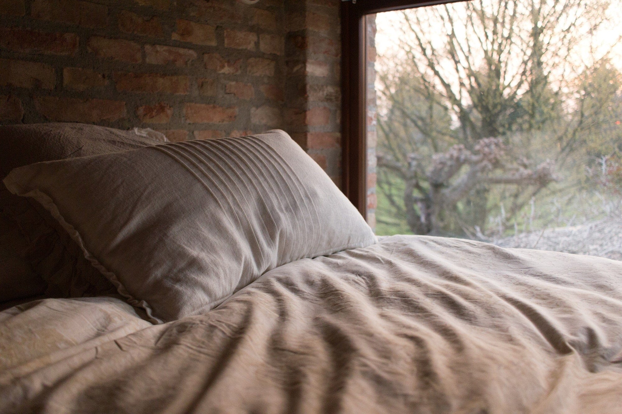 Punaises de lit : comment prévenir leur apparition naturellement ?
