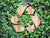 Tout savoir sur les labels de tri et de recyclage des emballages